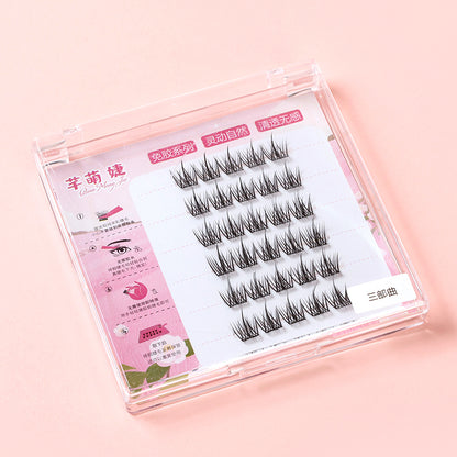 Viral Self-Adhesive Cluster Eyelashes Mix Style